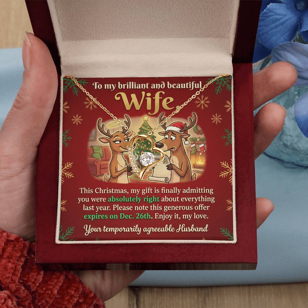 To My Wife Necklace From Husband, Funny Christmas Gift for Her, Humorous Holiday Present, Love Knot Necklace-LKN74415