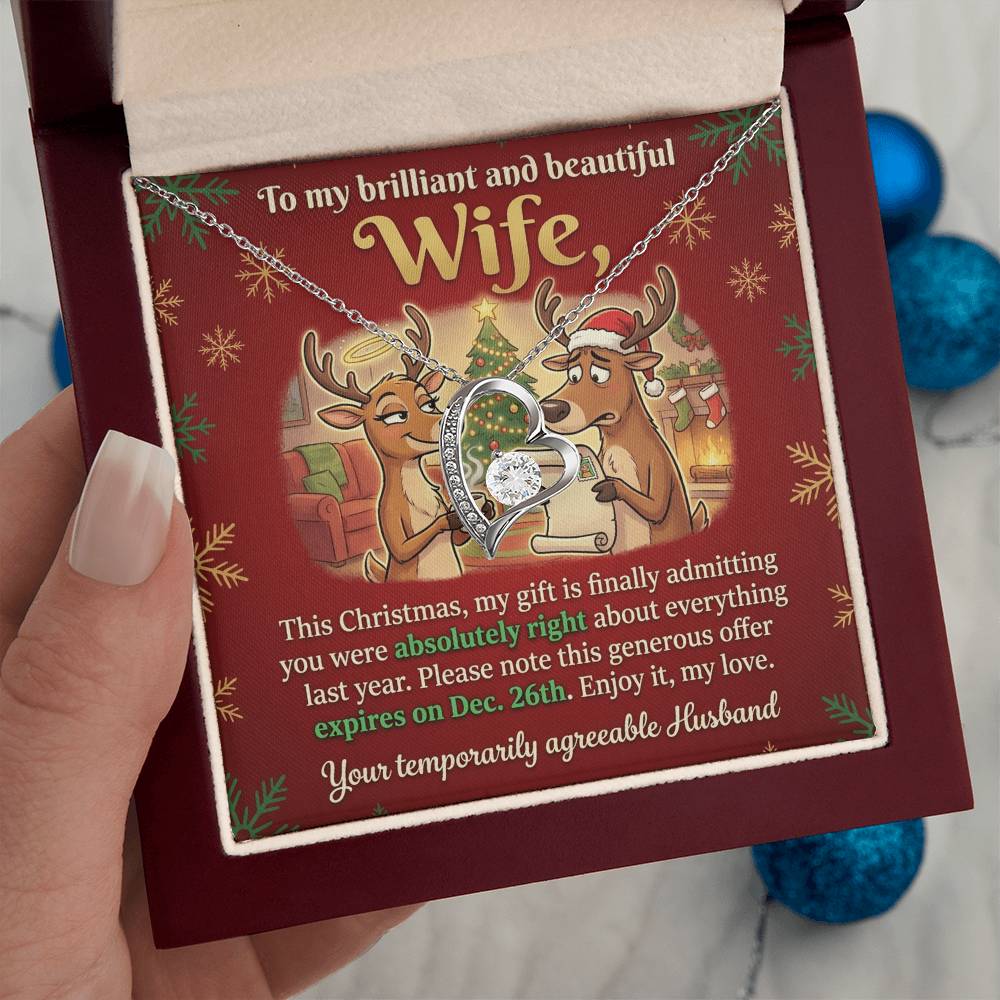 To My Wife Necklace From Husband, Funny Christmas Gift for Her, Humorous Holiday Present, Love Knot Necklace-LKN74415