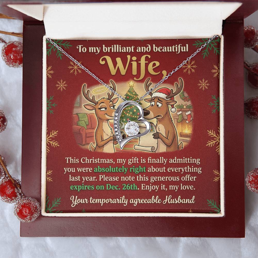 To My Wife Necklace From Husband, Funny Christmas Gift for Her, Humorous Holiday Present, Love Knot Necklace-LKN74415