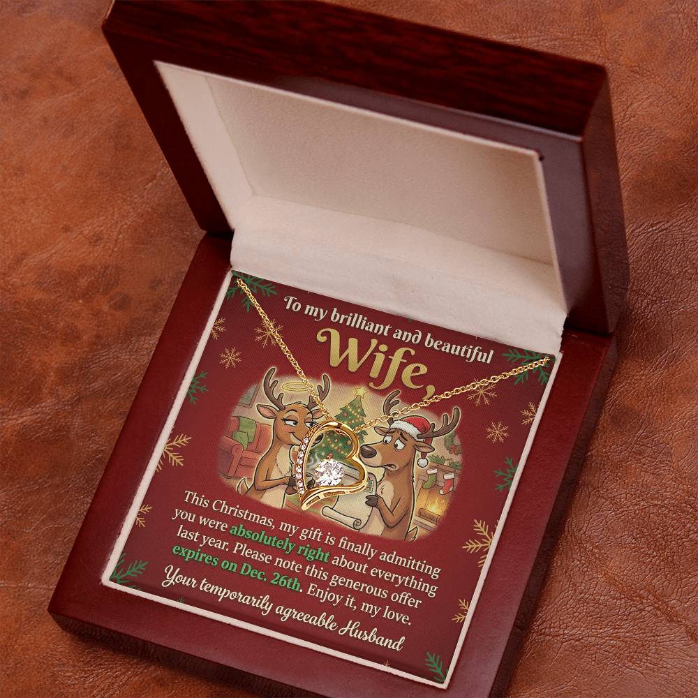 To My Wife Necklace From Husband, Funny Christmas Gift for Her, Humorous Holiday Present, Love Knot Necklace-LKN74415