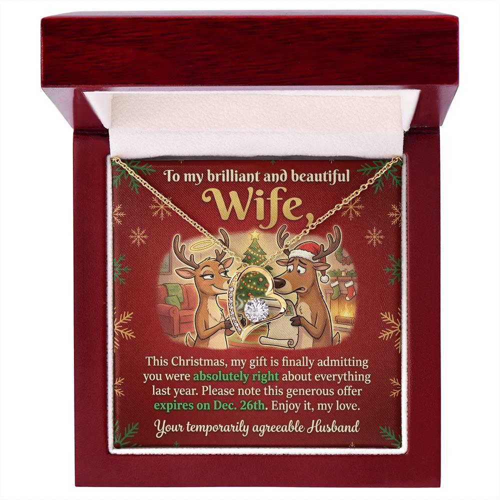 To My Wife Necklace From Husband, Funny Christmas Gift for Her, Humorous Holiday Present, Love Knot Necklace-LKN74415