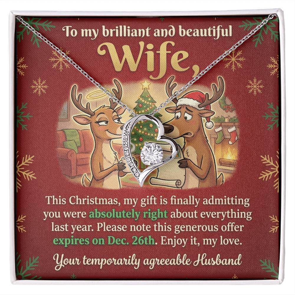To My Wife Necklace From Husband, Funny Christmas Gift for Her, Humorous Holiday Present, Love Knot Necklace-LKN74415