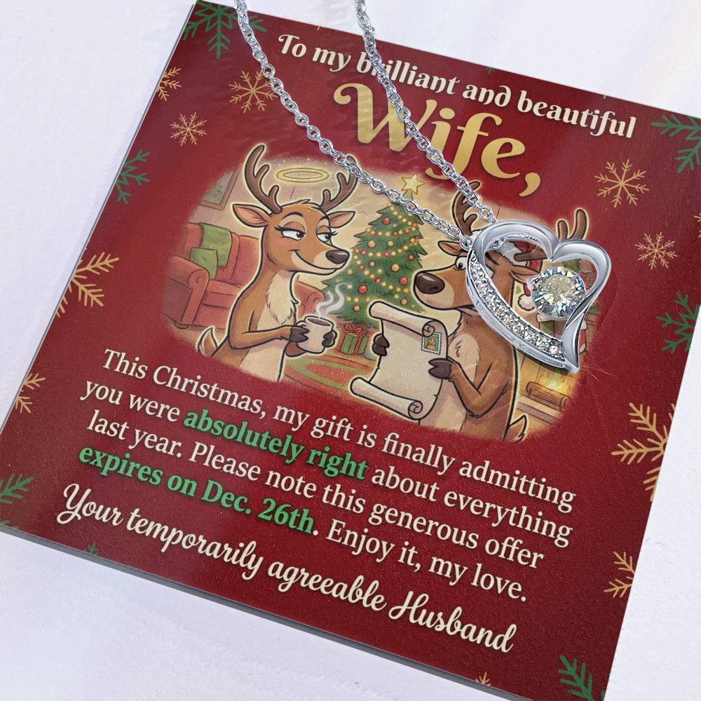 To My Wife Necklace From Husband, Funny Christmas Gift for Her, Humorous Holiday Present, Love Knot Necklace-LKN74415