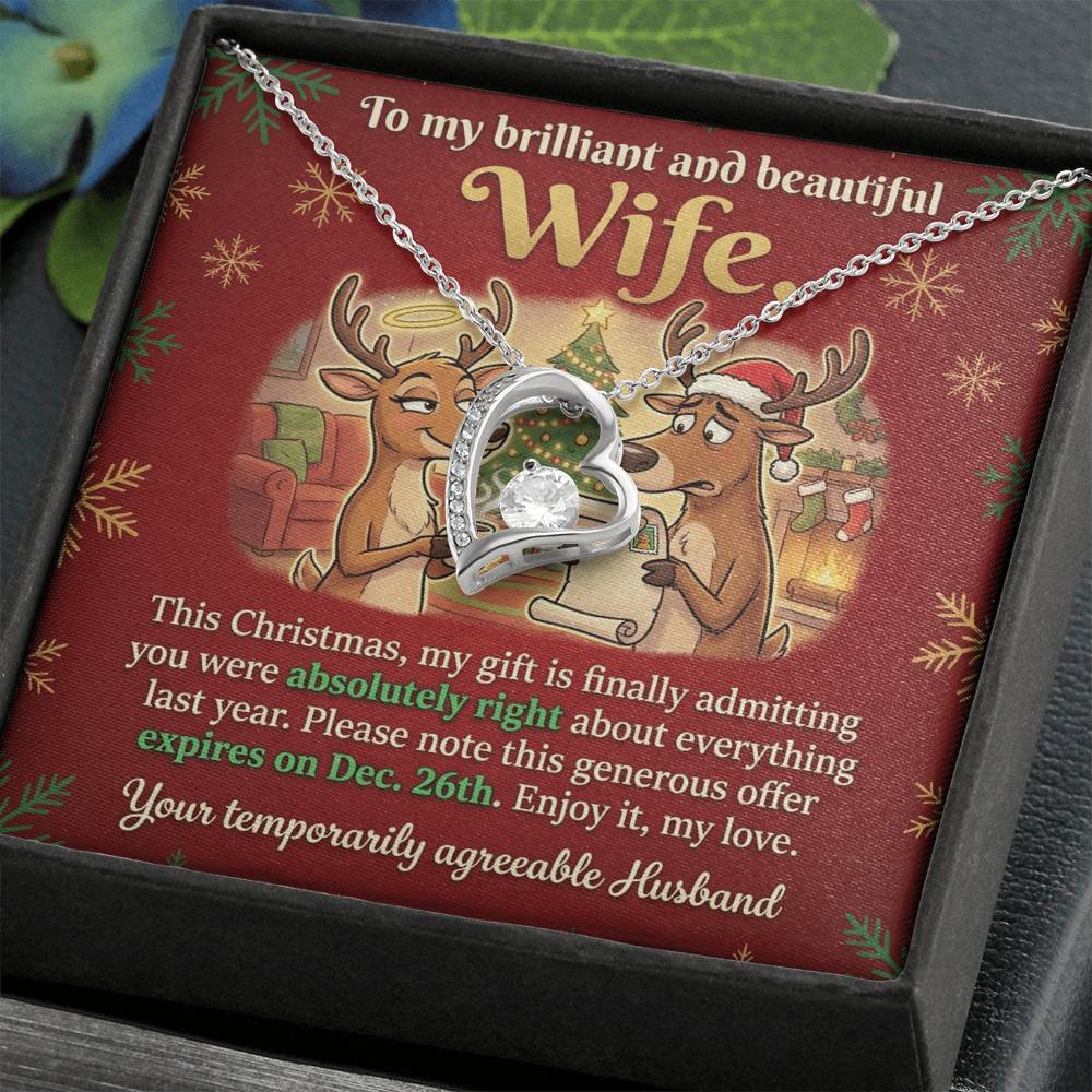 To My Wife Necklace From Husband, Funny Christmas Gift for Her, Humorous Holiday Present, Love Knot Necklace-LKN74415