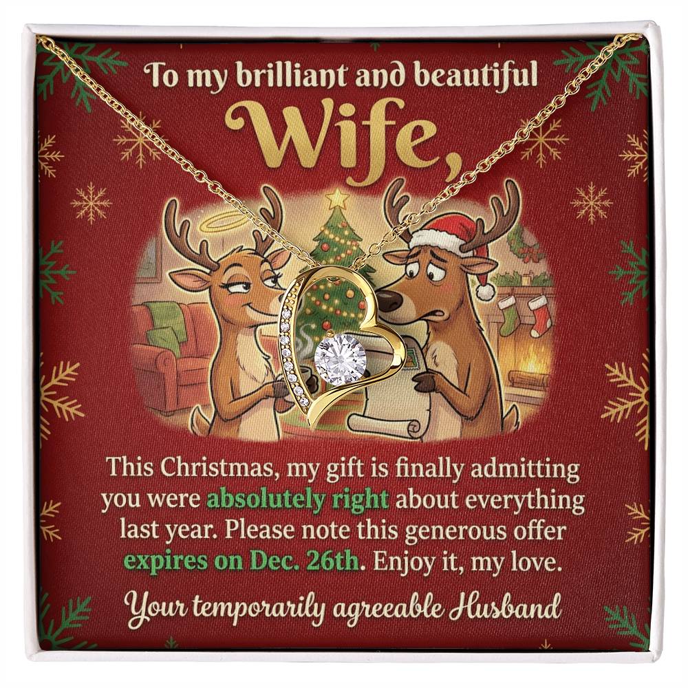 To My Wife Necklace From Husband, Funny Christmas Gift for Her, Humorous Holiday Present, Love Knot Necklace-LKN74415