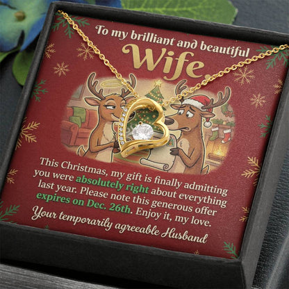 To My Wife Necklace From Husband, Funny Christmas Gift for Her, Humorous Holiday Present, Love Knot Necklace-LKN74415